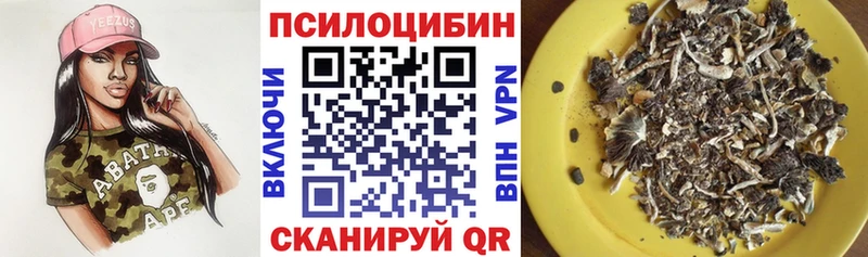 Галлюциногенные грибы MAGIC MUSHROOMS  где можно купить   Плёс 