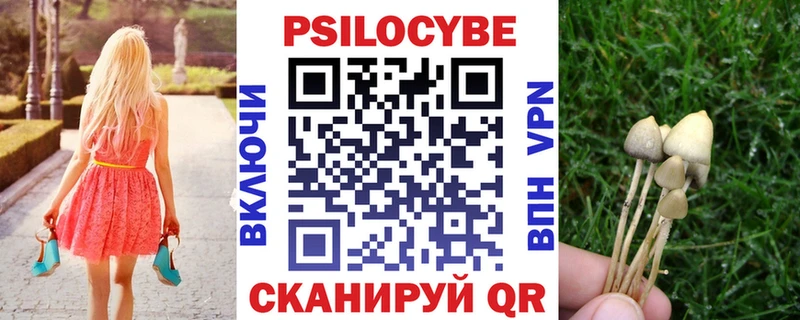 Псилоцибиновые грибы Psilocybine cubensis Плёс